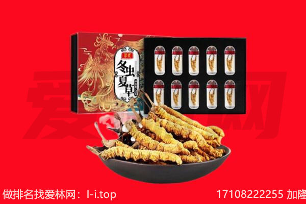 王益区回收虫草.jpg